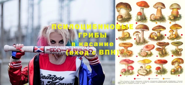прущая мука Алексин