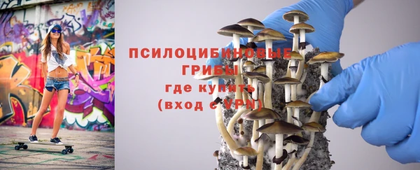 метамфетамин Алексеевка